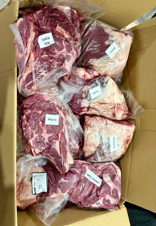 Family Variety Pack (50kg)